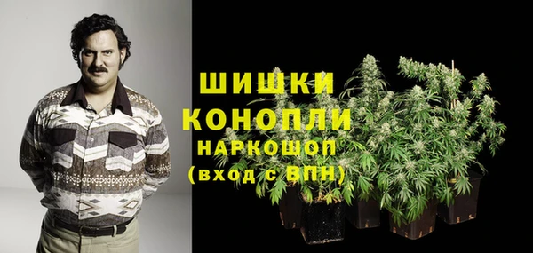 дурь Надым