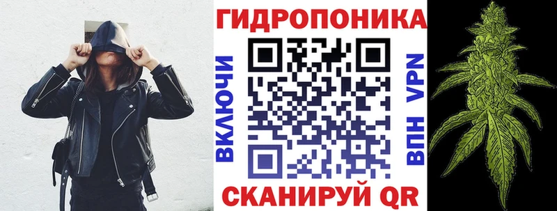 МАРИХУАНА гибрид  kraken   Дубовка 